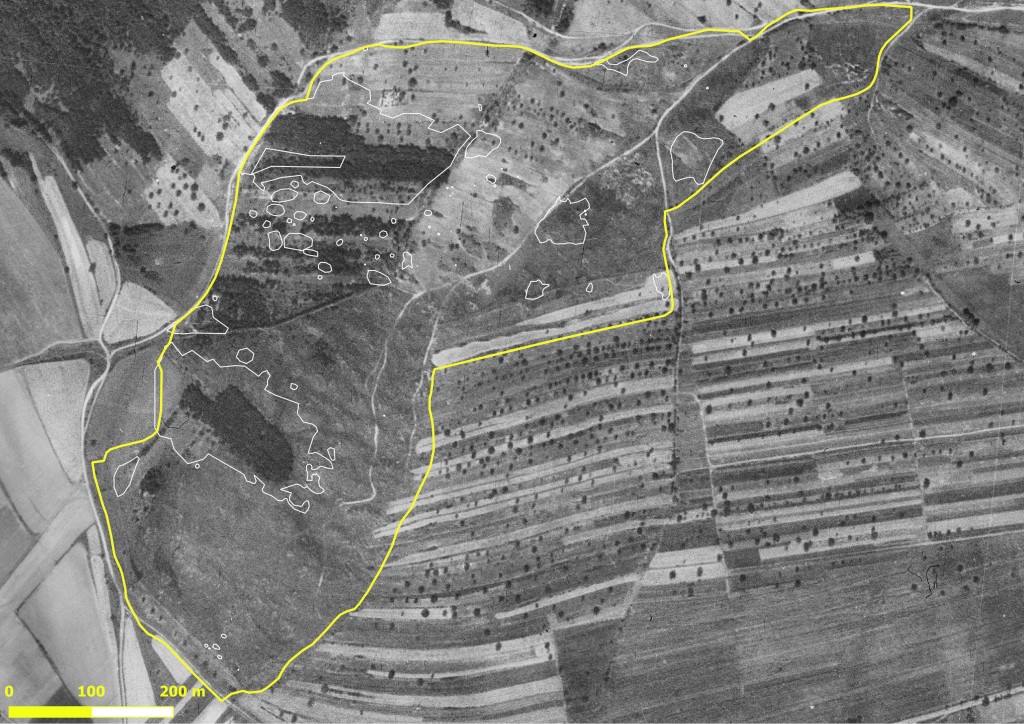 Letecký snímek pastviny exmoorských koní u Havraníků z 50. let, plus zákres stávajících ohnisek akátu