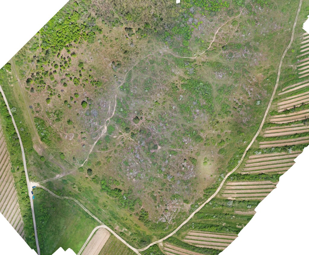 Havranické vřesoviště-pastvina poníků-Hnanická stráň-foto z dronu 2021
