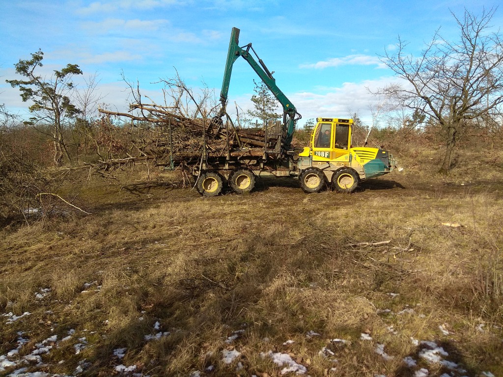 vyvážečka s naloženými borovicemi, Havranická ohrada, únor 2021